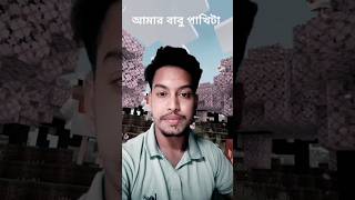 আমার বাবু পাখিটা যখন মেলে আঁখিটা shorts shortvideo sayedomi funny song tranding [upl. by Waverly]