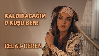 Kaldıracağım O Kuşu Ben  Celal İle Ceren [upl. by Seuqcaj160]