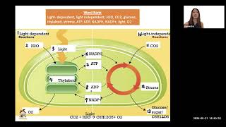 Biology Final Exam Review Part 2 Photosynthesis Light Dependent and Independent Reaction [upl. by Couture]