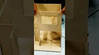 Amazing Cardboard House Craft youtubeshorts [upl. by Paley745]