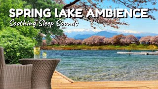 Spring Afternoon Ambience with Lakeshore Water Sounds and Relaxing Forest Birdsong  Cozy Sounds [upl. by Hurd]