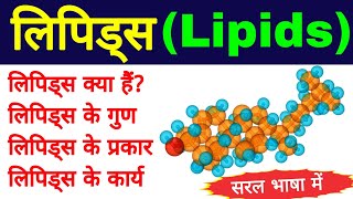 लिपिड क्या है  lipids biomolecules  lipids biochemistry in hindi  example and types of lipids [upl. by Goldarina89]