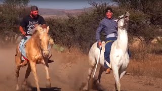 Carreras de Caballos Los Haro Jerez 2016 [upl. by Belford853]