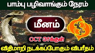 பாம்பு பழிவாங்கும் நேரம் மீனம்  OCT 31க்குள் விதிமாறி நடக்கப்போகும் விபரீதம் [upl. by Annaesor]