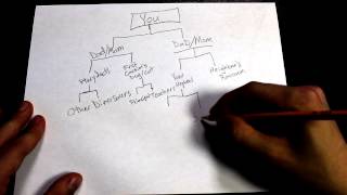 How to make a family tree [upl. by Enidualc]