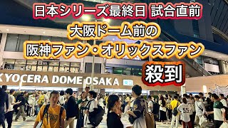 阪神とオリックスファン殺到 京セラドーム大阪前の混雑の様子 日本シリーズ最終日 優勝 地下鉄メトロ [upl. by Saval]