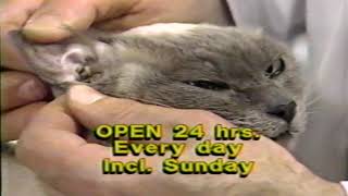 PVH Pet Check Up Special Commercial July 1988 [upl. by Thissa]