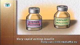 Diabetes Patient Education Types of insulin [upl. by Aynik244]