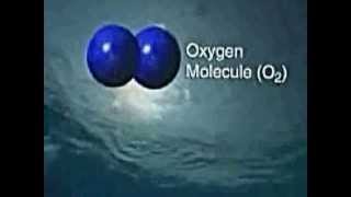 WHY OZONE and What does it do [upl. by Mikkel]