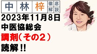 【中林梓】梓の勝手な独り言（2023 11 08中医協総会 調剤について（その2）） [upl. by Leseil]