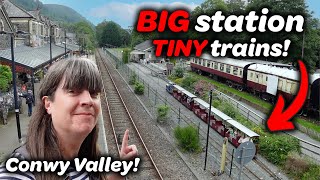 The Conwy Valley Line  My Best Day Ever [upl. by Kimmy]