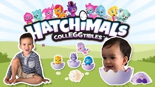 Hatching Hatchimals CollEGGtibles  NEW Tiny Humans [upl. by Reivad]