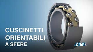 Cuscinetti Orientabili a sfere [upl. by Aradnahc390]