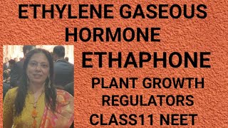 Ethylene gaseous hormone Plant growth regulators class11 neet [upl. by Cynera983]