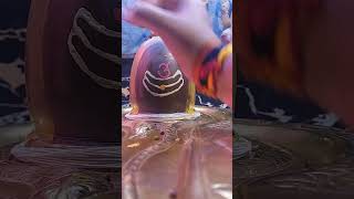 Sadashivbholenath shivshankar omnamhshivay comment harharmahadev viralvideo shortvideo om [upl. by Notlil]