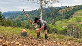 Carpathian Life and Potato Harvest in the Village [upl. by Geralda293]