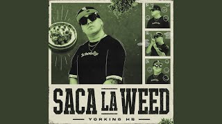 Saca la Weed [upl. by Judith435]