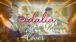 Cidalia II Oras Loron Malirin II Cover II [upl. by Yrtsed]