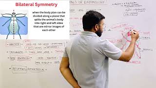 Phylum Arthropoda General Characteristics  Bsc Agriculture  Entomology [upl. by Thurber]