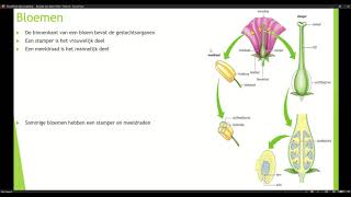 Klas 1 Thema 6 Voortplanting bij planten en dieren Basisstof 1 Bloemen [upl. by Etom]