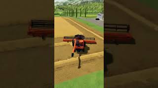 Na roçada do trigo 😜  musicasmtg farmingsimulator22 maquinasagricolas funk remix music [upl. by Suired]