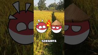 Nasi bakar🔥 countryballs [upl. by Eellehs175]