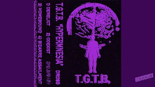 T​​G​T​​B  Hypermnesia [upl. by Nimajnab]