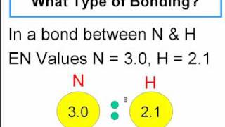 Polar Covalent and NonPolar Covalent Bonds [upl. by Earized]