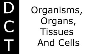 Organisms Organs Tissues And Cells KS3K711 Biology [upl. by Kerby313]