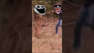 kangaroo vs man edit trollface shorts [upl. by Ulu]