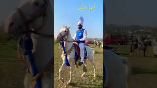 horselover teamchanpirhadinoshi club jhelumpunjab [upl. by Lasko]