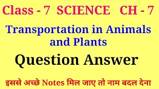 transportation in plants and animals class 7 question answer  class 7 science ch 7 question answer [upl. by Seraphine]