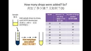 SBA DSE Bio DCPIP食物測試 Food Test 3 [upl. by Ayahsal]