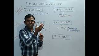 Thermoregulation Class 1 Ecto amp Endotherms Poikilotherm Conformers Regulators thermoregulation [upl. by Nuli499]