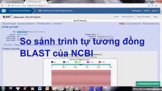 hướng dẫn so sánh trình tự tương đồng BLAST của NCBI [upl. by Moreen658]