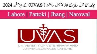 UVAS  UVAS fall admission 2024  How to apply University of veterinary amp animal sciences 2024 [upl. by Yerffoej]