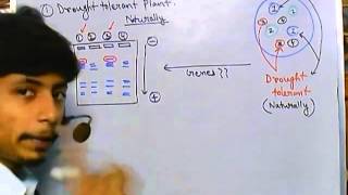 Marker assisted selection [upl. by Enomys]