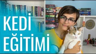 KEDİ EĞİTİMİ YENİ  Kedim Isırıyor  Eşyaları Tırmalıyor  Ne Yapmalı [upl. by Simmie]