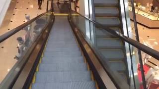 Schindler Escalators At Nordstrom Phipps Plaza In Atlanta GA [upl. by Razal]