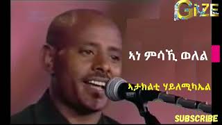 ኣታክልቲ ሃይለሚካኤል  ኣነ ምሳኺ ወለል  Ataklti Hailemichael  Ane misaki welel Best Tigrigna Music [upl. by Jud]