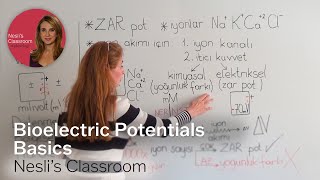 Bioelectric Potentials Basics [upl. by Nonnag]