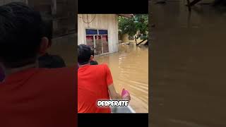 Heroes Save Stranded Kitten During Flood Rescue shortvideoshortsviralvideo [upl. by Ytsirhk]