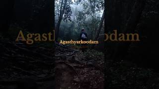 Agasthyarkoodam 2024 Keralas largest and hardest trekking trail 54 km tall at 1868 meters [upl. by Mairhpe]