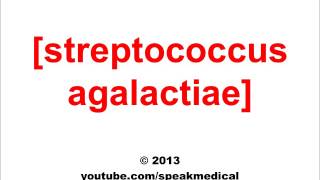 Pronounce Streptococcus Agalactiae  SpeakMedical [upl. by Kelly]