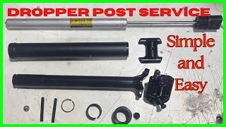 TranzX Dropper Post Service  how to service a dropper post ASMR [upl. by Smitt894]