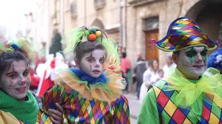 Nous sommes allés vivre le carnaval à Pézenas [upl. by Relyks330]