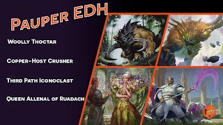 Pauper EDH  Woolly Thoctar VS CopperHost Crusher VS Third Path Iconoclast VS Queen Allenal [upl. by Hcirteid]