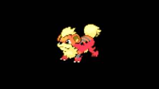 Pokemon Cries  058 Growlithe [upl. by Iruy]