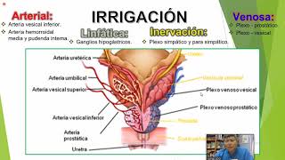 1 HIPERPLASIA BENIGNA DE PROSTATA [upl. by Toor]