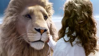 Narnia 3 2010 movie explained in hindi [upl. by Kepner913]